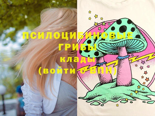 дурь Белокуриха