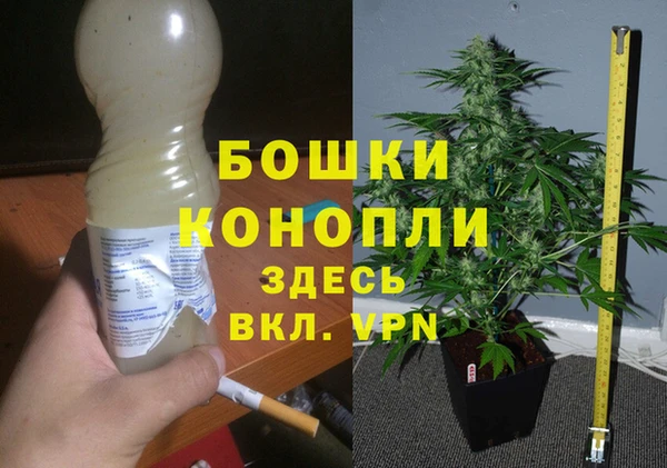 дурь Белокуриха