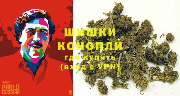 дурь Белокуриха