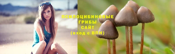 дурь Белокуриха