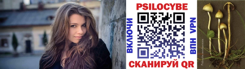 Псилоцибиновые грибы мухоморы  купить   Железногорск-Илимский 